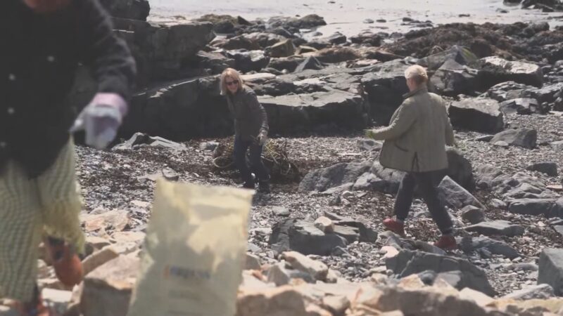 Beach Clean-Up