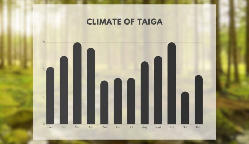 CLIMATE OF TAIGA