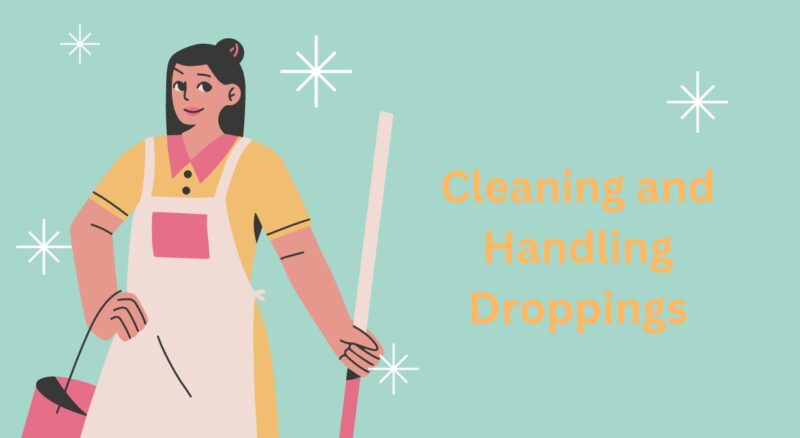Cleaning and Handling Droppings