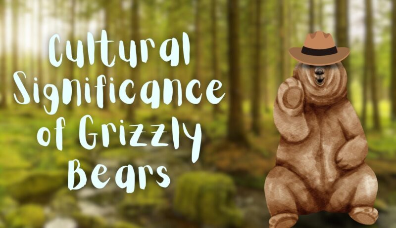 Cultural Significance of Grizzly Bears