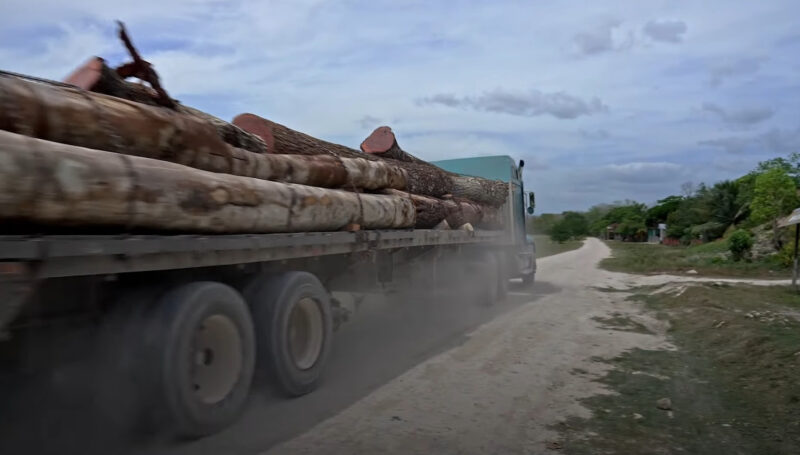 Deforestation truck