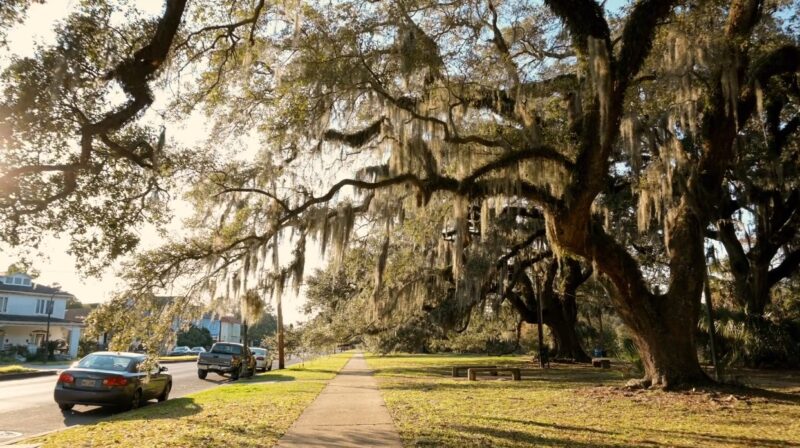 Louisiana - Heat, Humidity, and Southern Hospitality