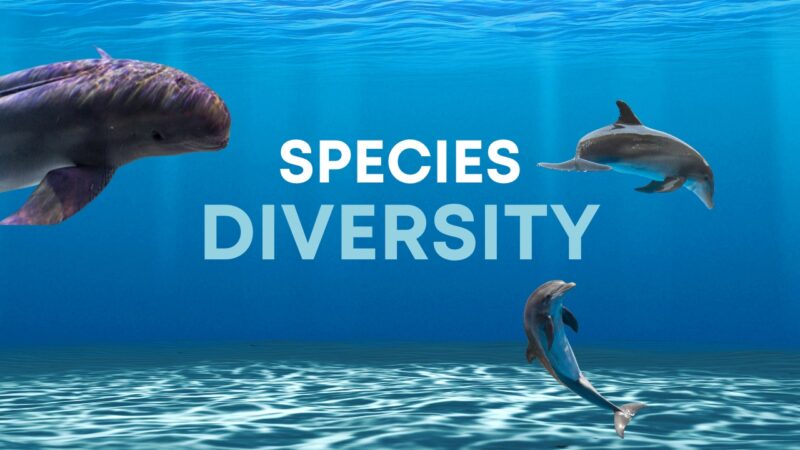 Species Diversity and Conservation Status