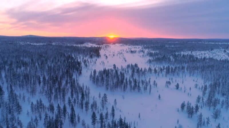 The Taiga's Role in Global Climate