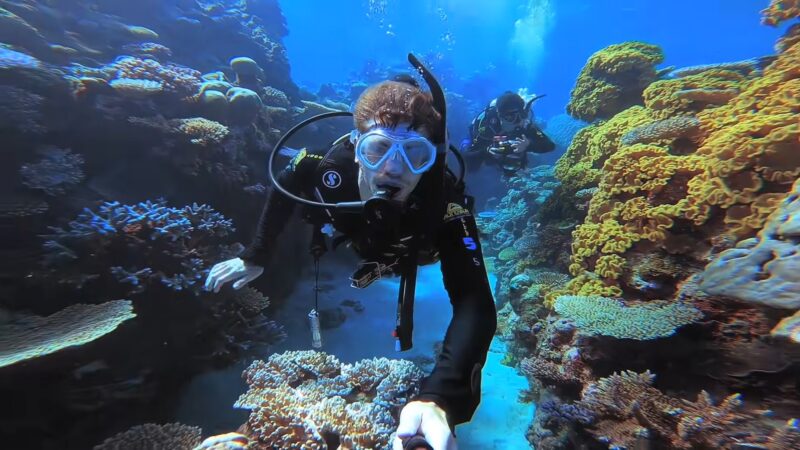 climate change on Coral Reefs - incredibly diverse ecosystems