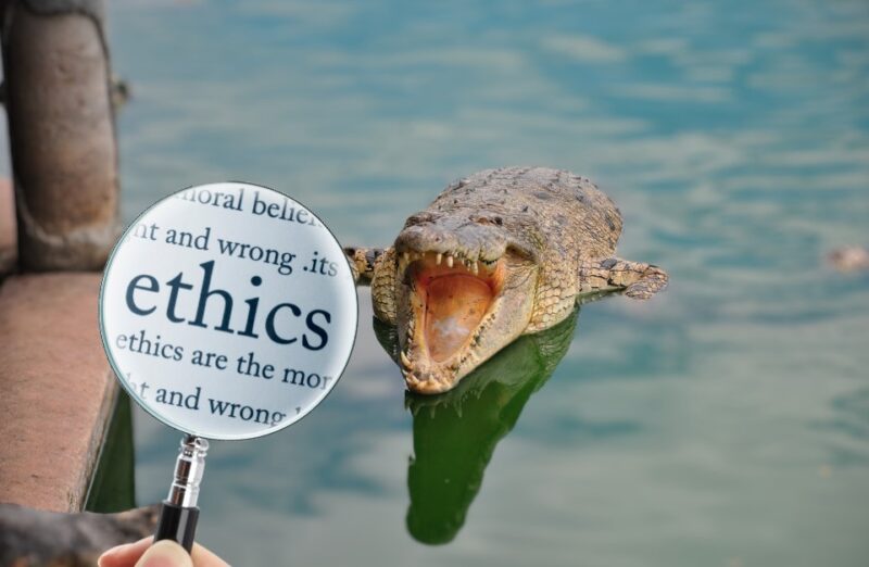 Ethical and Conservation Implications Crocodile pain