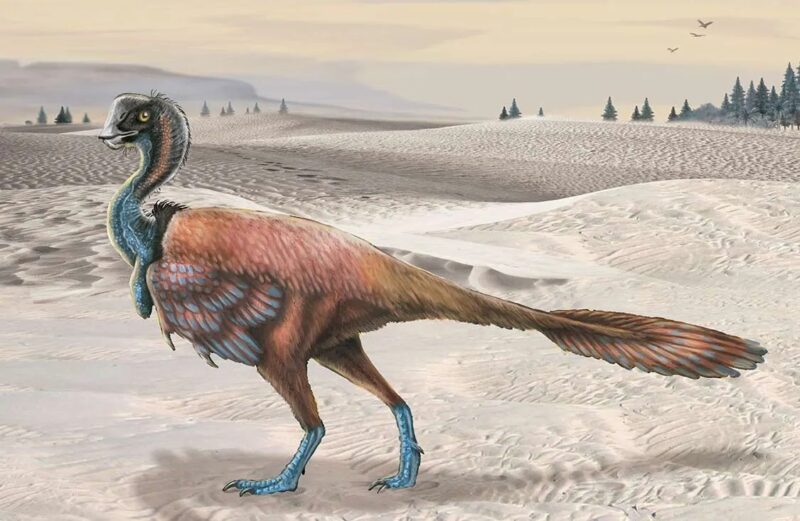 Oviraptor