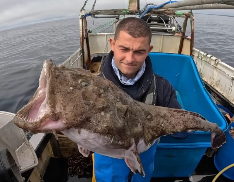 The UGLIEST Fish in the world! (TRANSLATED) — Steemit