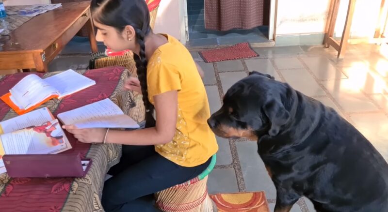Children and Other Pets