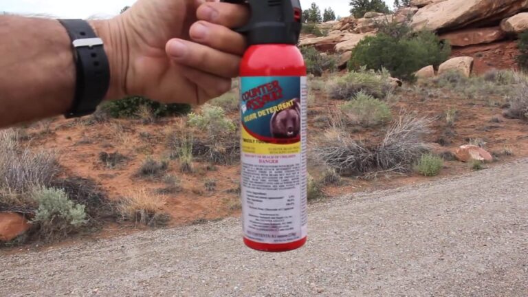 Do Not Try To Outrun A Bear - What To Do If You Meet One in the Wild ...