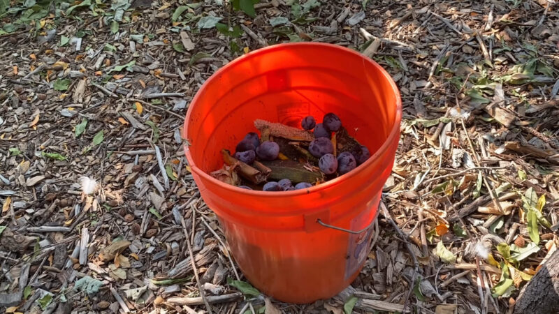 Extracting and Utilizing Compost