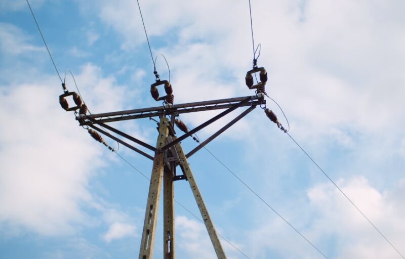 electrocution on power lines