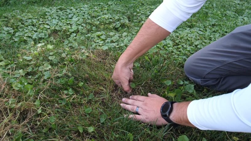 Hand-Pulling Grass Sticker