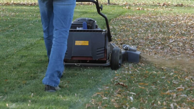 Mulch grass