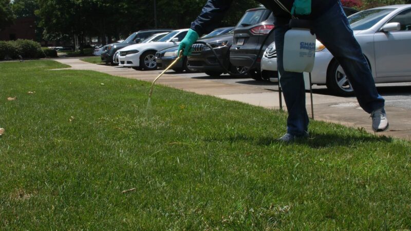 Post-Emergent Herbicides