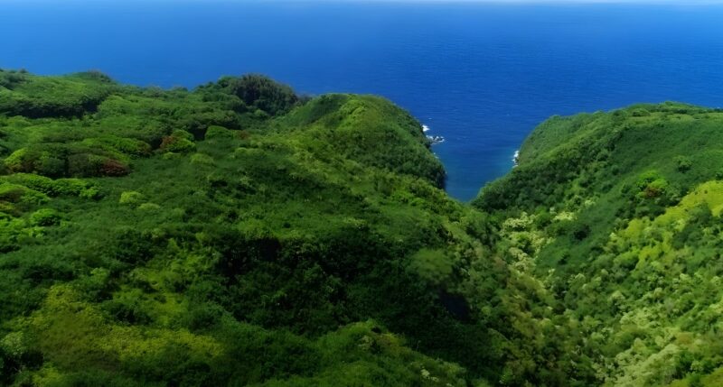 What is causing biodiversity in Hawaii