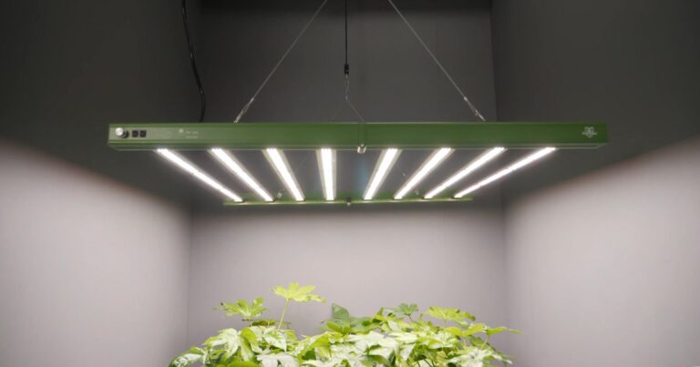 How Energy-Efficient Are LED Grow Lights The Environmental Impact