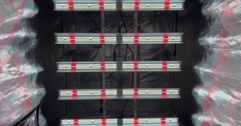 How Energy-Efficient Are LED Grow Lights? The Environmental Impact ...